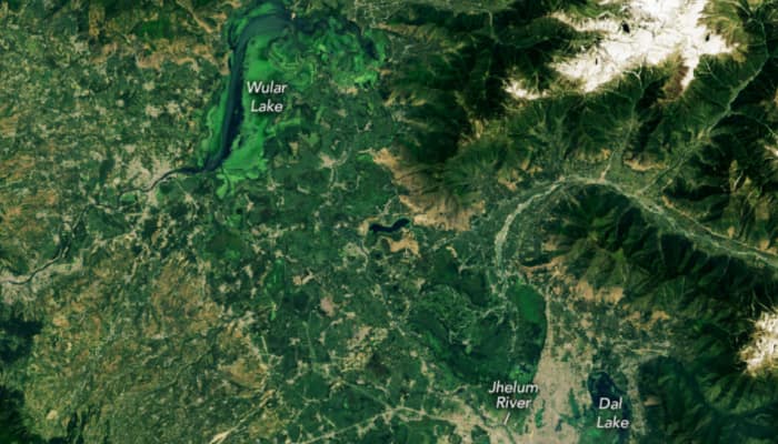 NASA Releases Satellite Image Of Kashmir&#039;s Shrinking Wular And Dal Lakes; What Led To Their Decline?