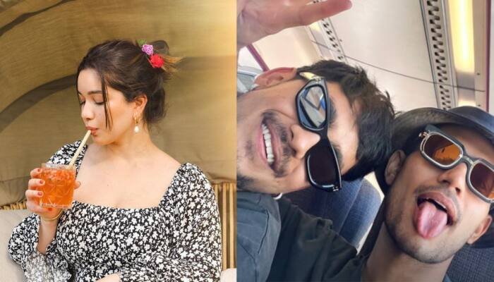 Sara Tendulkar Drops FRESH Photos On Insta, Shubman Gill's Best Friend Ishan Kishan Reacts
