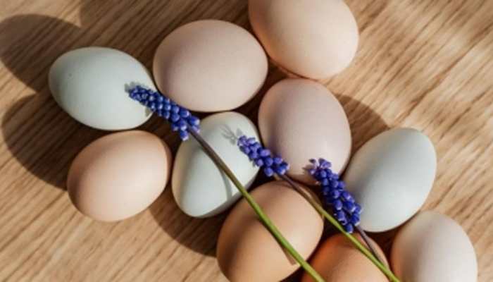 THIS Decision May Lead To Egg Shortage, Price Rise In Uttar Pradesh, Claim Traders
