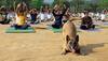 yog diwas