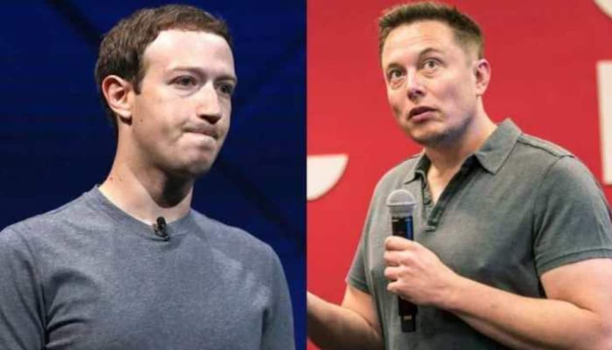 Mark Zuckerberg agrees to Elon Musk cage match challenge - The Verge