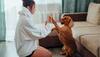 8 Tips Every Pet Owner Must Follow For Healthy Furry Friends