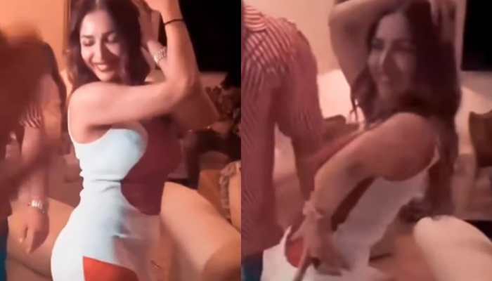 Malaika Arora Flaunts Her Sexy Moves On 'Chaiyya Chaiyya' At Beau Arjun  Kapoor's Birthday Bash - Watch | People News | Zee News