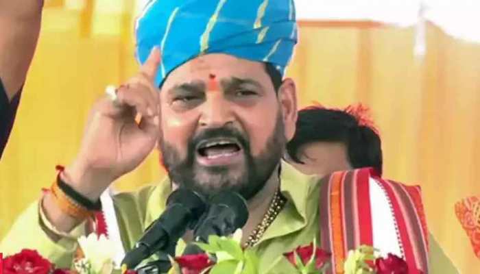 WFI Chief Brij Bhushan Says 'Court Will Do Its Work' After Wrestlers Withdraw Protest Against Him