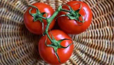 Tomato Prices May Cross Rs 100/KG Soon In India: Reports