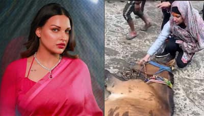 Viral: Himanshi Khurana Get Emotional, Feeds Water To Unconscious Horse At Kedarnath, Watch Video