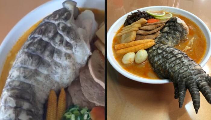 Taiwan’s Spooky Delight: Dish Called Godzilla Ramen Leaves Internet Shocked