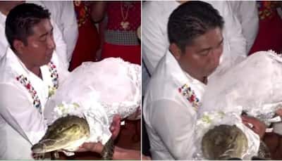 Watch: Following Tradition, Mexican Mayor Weds Alligator To Secure Abundance