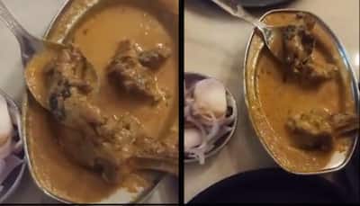 Ludhiana Man Posts Video Of Dead Rat In Chicken Curry — Netizens Shocked