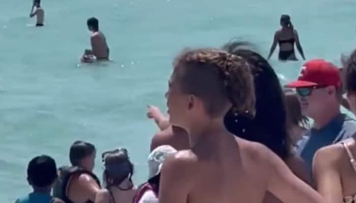 Shark Sighting Sparks Panic At Florida’s Navarre Beach — Watch Video