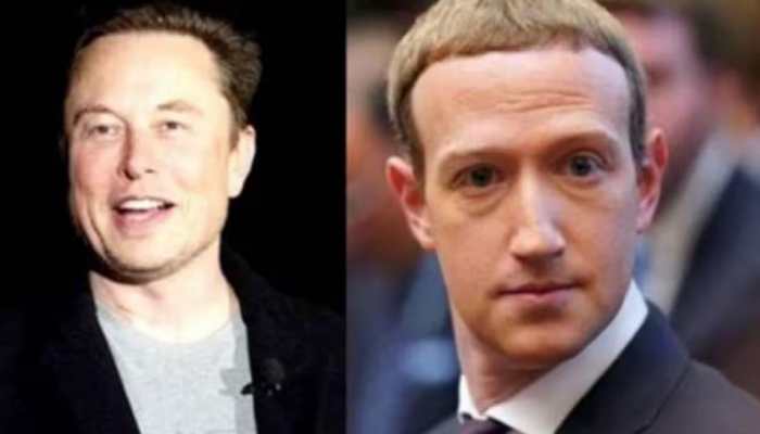 Zuckerberg-Musk Begin Online Battle Before Cage Fight