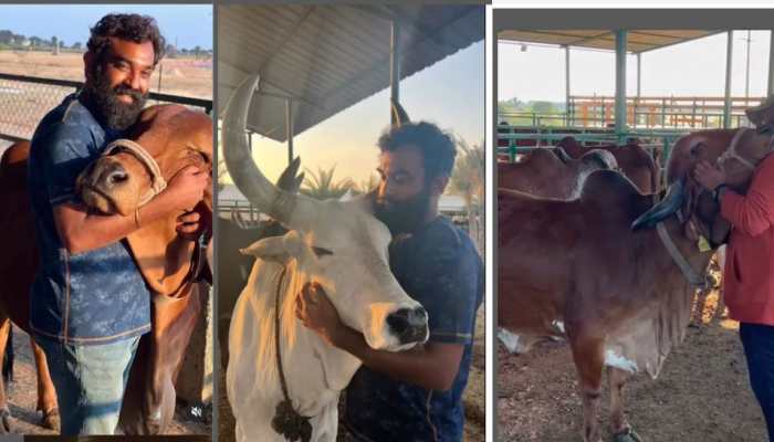 Dissatisfied With His Banking Job, This Man Turned Into A Farmer To Promote Organic Crops &amp; Indigenous Breeds, Now Business Worth Crores