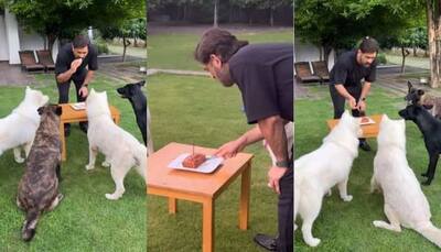 MS Dhoni Cuts B’day Cake For His Dogs At His Ranchi Farmhouse, Wins Over Social Media - Watch