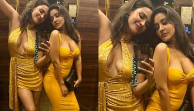 Sexy Sisters Duo: Neha Sharma And Aisha Sharma Stun In Plunging Outfits, Give A Sneak Peek Into Their 'BFF' Outing