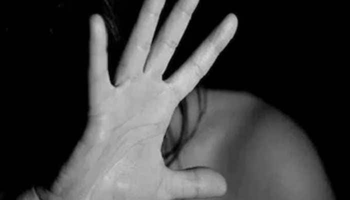 Tamilnadu Village Brother Sister Rape Sex Sexy Video - UDAIPUR SCHOOL SHOCKER: Boy Rapes Friend, His Sister Records Video,  Circulate It On WhatsApp Group | India News | Zee News