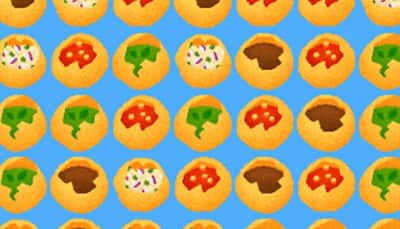 Google Pays Tribute to Pani Puri With Interactive Doodle Game: How To Play