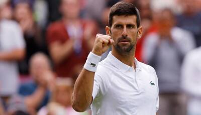 Wimbledon 2023: Novak Djokovic Sets Up Finale Clash With Carlos Alcaraz With Win Over Jannik Sinner