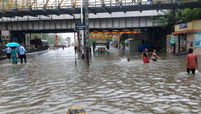 Waterlogging Raises Concerns: Stagnant Water Could Pose Serious Health Hazards For General Public, Experts Warn