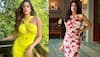 Janhvi Kapoor Gets Brutally Trolled For Editing Her Photos, Netizens Say 'Bench Gained Curves'