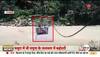 himachal rain news today