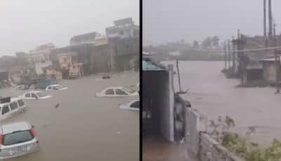 Gujarat’s Monsoon Fury: Crocodile Sighting In Residential Area Adds To Woes