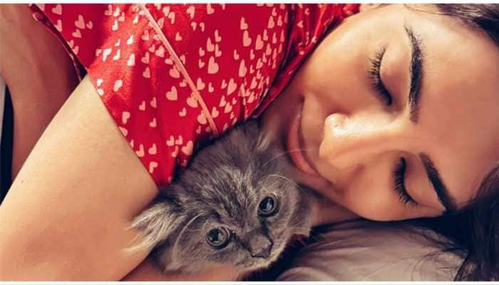 Samantha Ruth Prabhu Welcomes New Furry Friend &#039;Gelato&#039; 