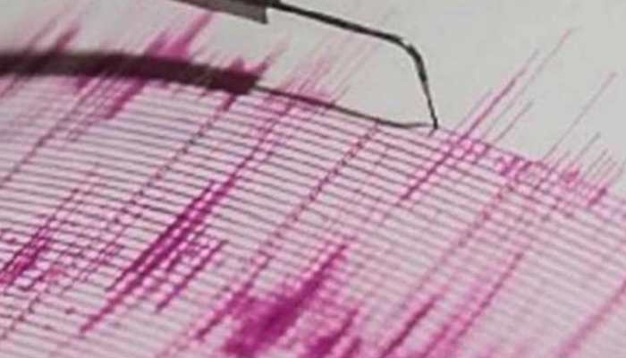Jaipur Earthquake: 3 Quakes Jolt Jaipur In Span Of Half An Hour; Watch Video