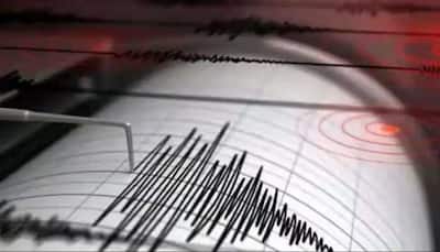 3 Quakes Jolt Jaipur: Residents Share Scary Videos, Animals Distressed
