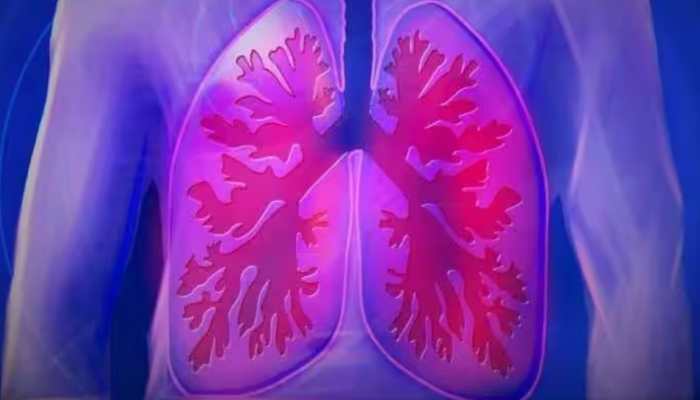Omega-3 Fatty Acids May Help In Boosting Lung Health: Study