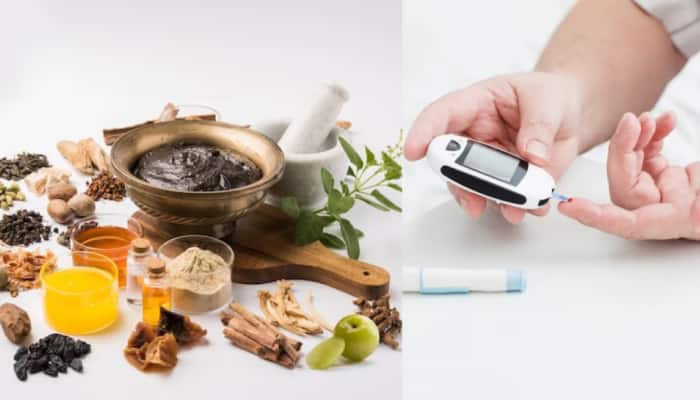 High Blood Sugar Control: Role Of Ayurvedic Herbs In Regulating Blood Sugar Levels For Diabetes