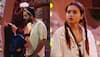 Bigg Boss OTT 2 Day 37 Written Updates: Bebika And Abhishek Get Into Massive Fight After She Pushes Manisha Amid Task
