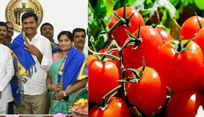 Tomato Crorepati: THIS 10th Fail Farmer Hits Jackpot, Becomes Crorepati Overnight, Skyrocketing Price Of Tomatoes Does It All