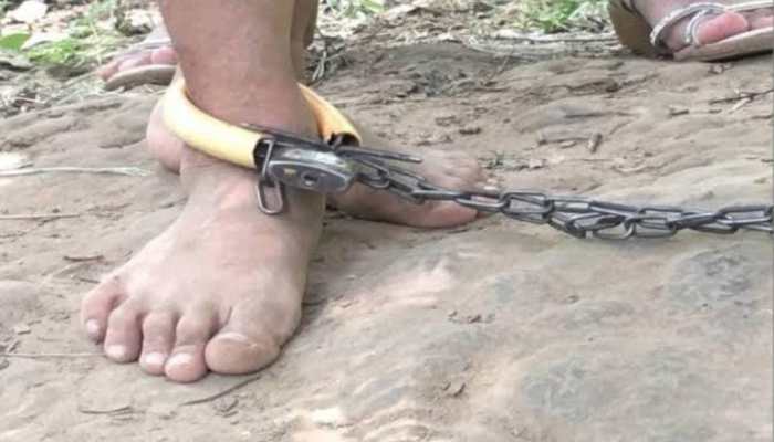 Inhumane Act Exposed: Mentally Challenged Son Chained by Father in Haryana