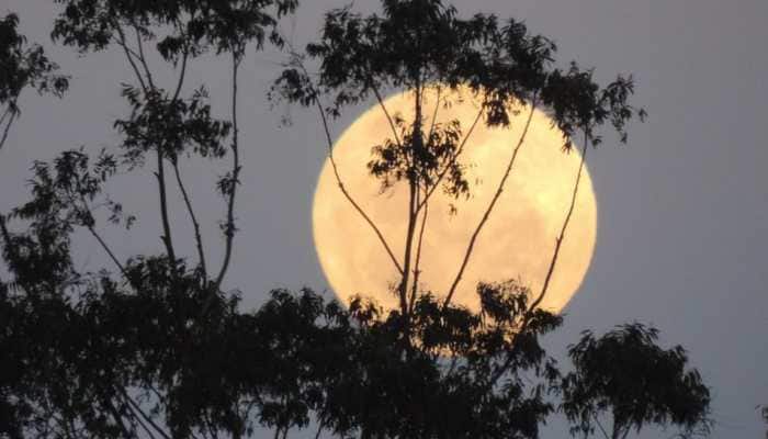 Rare Double Supermoons And Bluemoon In August 2023: How To Watch Supermoon In India Tonight