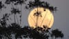 Rare Double Supermoons And Bluemoon In August 2023: How To Watch Supermoon In India Tonight