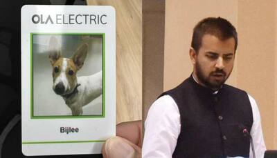 Ola CEO Sets New Trend! Hires Dog As An Employee - Netizen's Reaction Will Warm Your Heart
