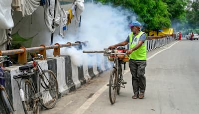 Dengue Cases Spike In Delhi: Causes, Symptoms, Measures To Prevent Dengue Fever