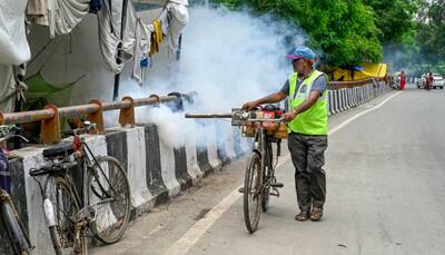 Dengue Cases Spike In Delhi: Causes, Symptoms, Measures To Prevent Dengue Fever