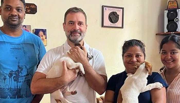 Rahul Gandhi Gets A New Furry Friend From Goa