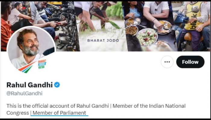 Rahul Gandhi Changes His Twitter Bio To 'Member Of Parliament'