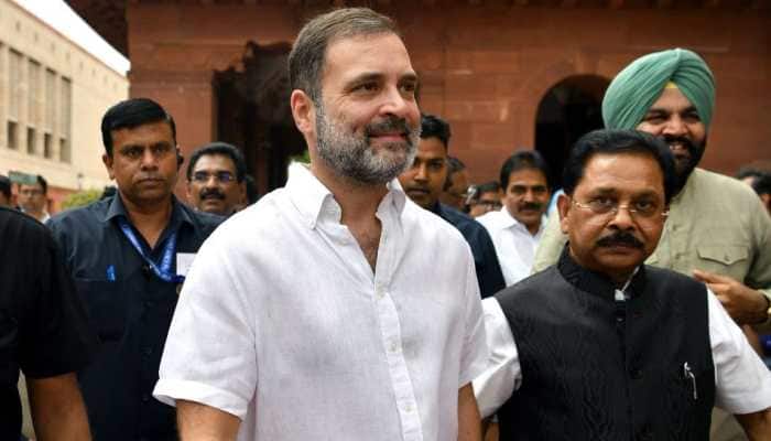 Watch: Rahul Gandhi Returns To Parliament After Getting Back Lok Sabha MP Status