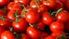 Band Baaja Baaraat Courtesy Tamatar! Karnataka Farmer Buys SUV From Selling Tomatoes; Now Looking To Get Married