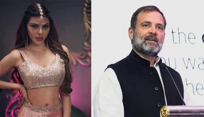 I Want To Marry Rahul Gandhi But On This Condition: Sherlyn Chopra Makes Shocking Confession