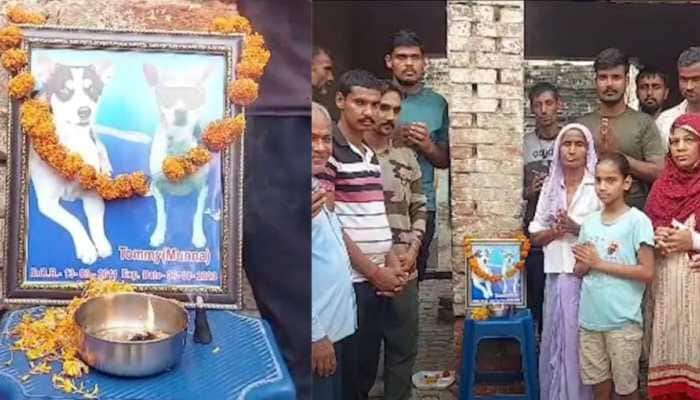 Heartfelt &#039;Brahmabhoj&#039; Ceremony In Uttar Pradesh Village  to Remember and Honor Beloved Dog Companion