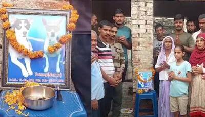 Heartfelt 'Brahmabhoj' Ceremony In Uttar Pradesh Village  to Remember and Honor Beloved Dog Companion