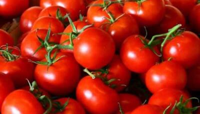 Govt To Sell Tomatoes At Rs 50 Per Kg From Tomorrow In Several Locations Including Delhi-NCR 
