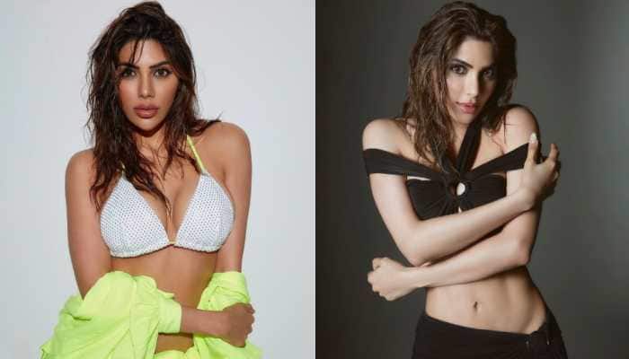 Nikki Tamboli Breaks Her Silence On Online Trolling, Says 'Comparing Me With Adult Film Stars Is Insult To Them'