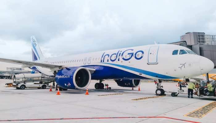 IndiGo Pilot Dies Moments Before Flying Plane At Nagpur Airport&#039;s Boarding Gate