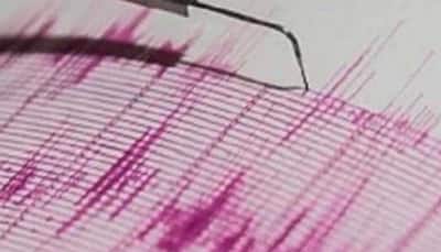 Assam Earthquake: Magnitude 4.4 Quake Strikes West Karbi Anglong