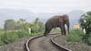 East Coast railway